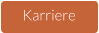 Karriere