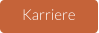Karriere